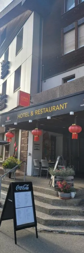 Dinh Residence，位于茨韦西门的酒店