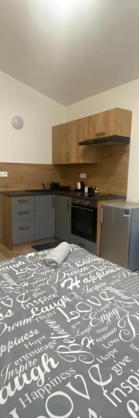 Černá Růže - Apartmán 7，位于比尔森的酒店