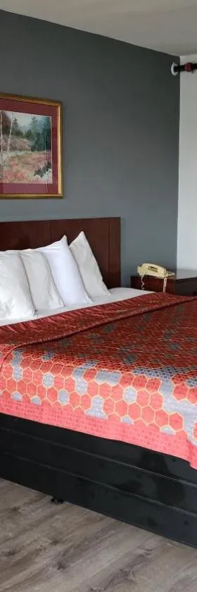 Starway Inn，位于兰辛的酒店