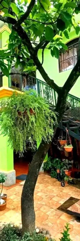 Hostal San Antonio，位于莱昂的酒店