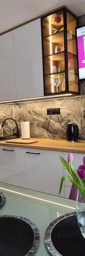 Modlin Deluxe Suite，位于马佐夫舍地区新庄园的酒店