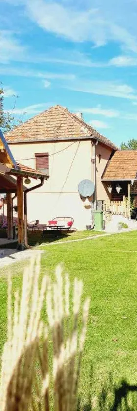 Dvor，位于Donja Toponica的酒店