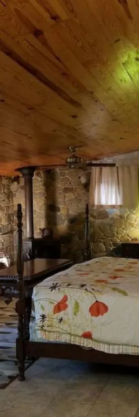 Castle Suite at White Lotus Eco Spa Retreat，位于Stanardsville的酒店
