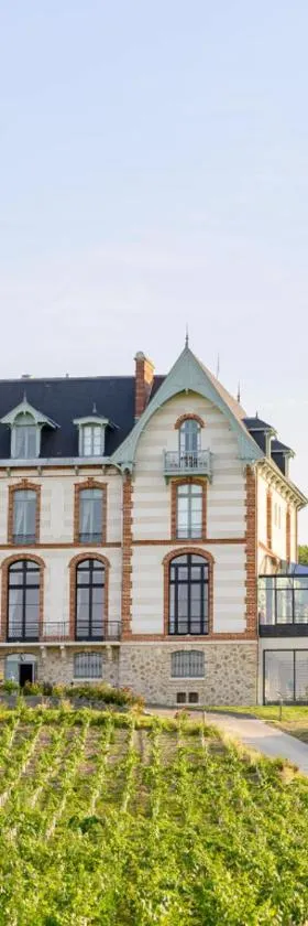 Chateau de Sacy，位于Sacy的酒店