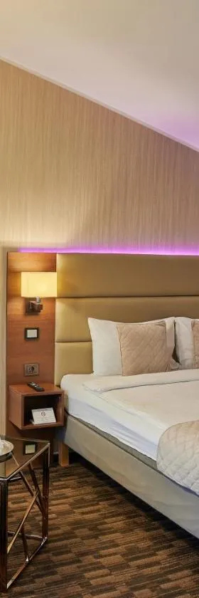 Olympus Hotel，位于考纳斯的酒店