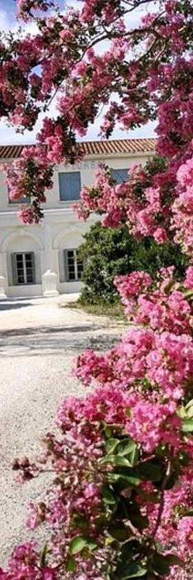 HOTEL LE FLOREAL，位于Le Soler的酒店