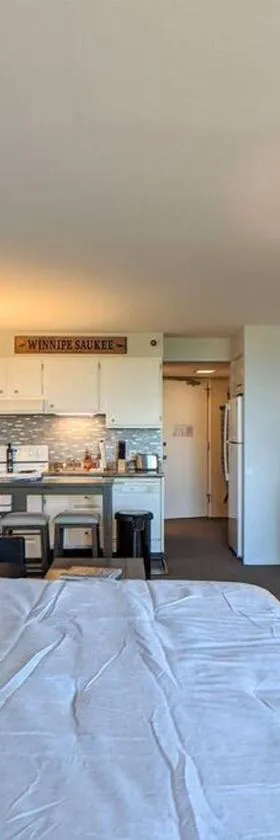 Cute Cedar Lodge Studio with Balcony & Lake Views!，位于拉科尼亚的酒店