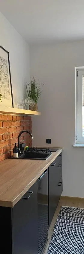 Apartament Black，位于帕斯文克的酒店