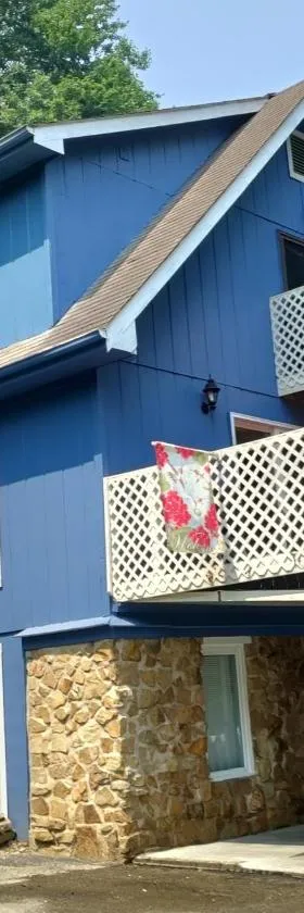 Lil Black Bear Inn，位于纳什维尔的酒店
