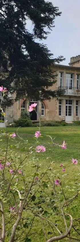 La Maison du Séguy，位于Saint-Ciers-de-Canesse的酒店