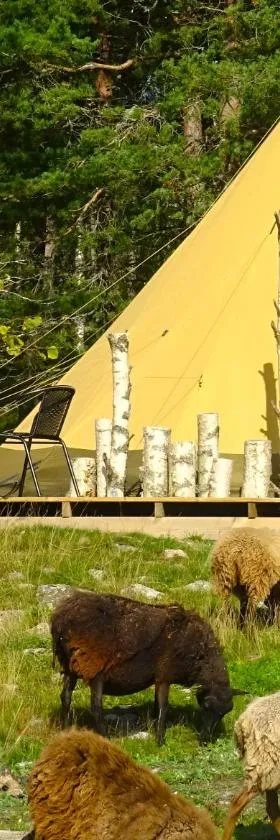 Västeräng Glamping，位于Lillandet的酒店