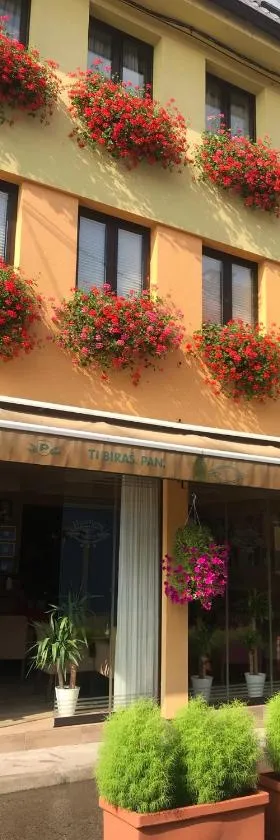 Heartland City B&B，位于图兹拉的酒店