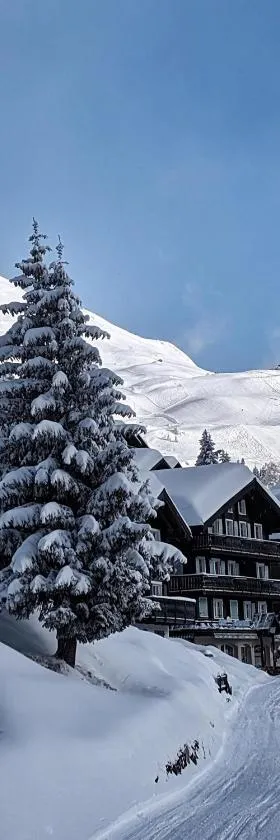 Imhof Alpine B&B Apartments，位于贝特默阿尔卑的酒店