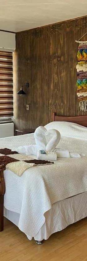 Hotel Boutique WenuPillan，位于比亚里卡的酒店