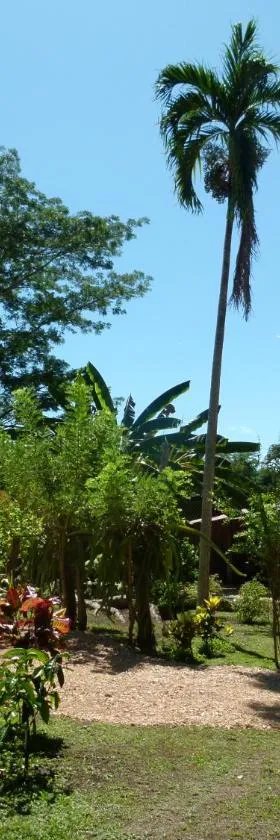 Jardines del Golfo，位于Lepanto的酒店
