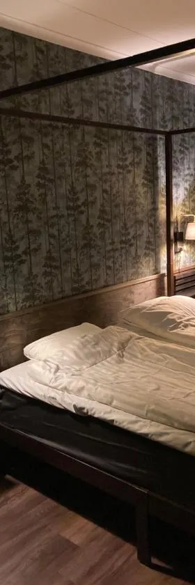 Hotell Stensborg，位于谢莱夫特奥的酒店