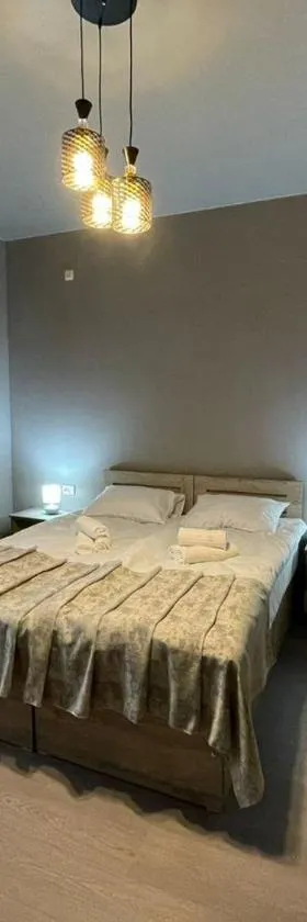 Hotel Lumi，位于祖格迪迪的酒店