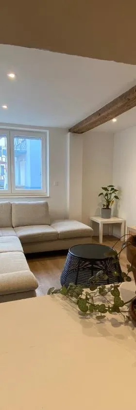 Appartement confortable，位于Soufflenheim的酒店