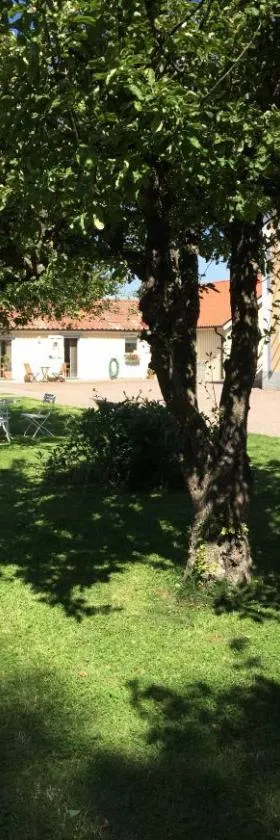 Vadstena Vandrarhem-Hostel，位于瓦斯泰纳的酒店