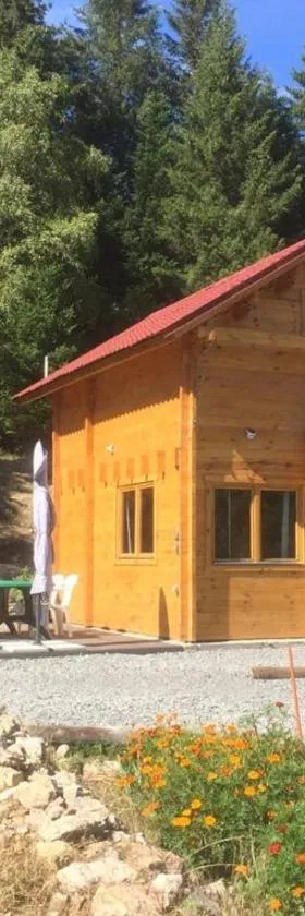 Chalet de La Peyramont，位于拉纳斯的酒店