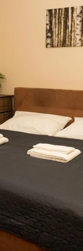 Valnovka Wellness Hotel，位于Kamenice的酒店