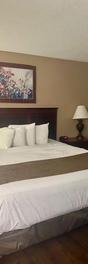贝蒙特巴特尔克里克套房酒店，位于巴特尔克里克的酒店