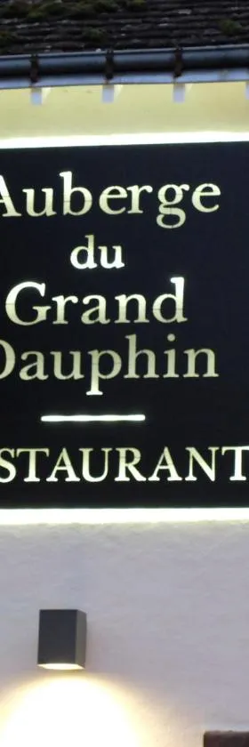 大海豚酒店，位于Dhuizon的酒店