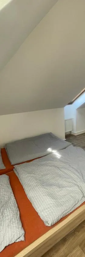 Soukromý byt v centru Velkého Meziříčí，位于达那撒扎乌的酒店