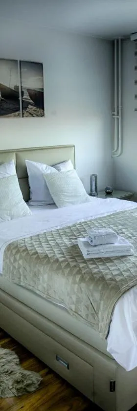 Irina Lux Apartment，位于内戈廷的酒店