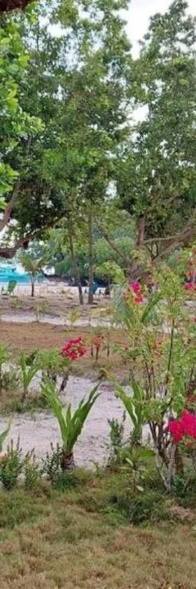 La Tranquilidad Twin Beach Resort，位于Dipnay的酒店