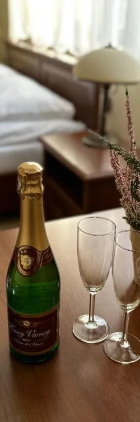GLORIETTA Apartments & SPA，位于伊沃尼奇-兹德鲁伊的酒店
