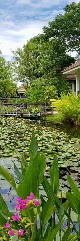 Le Charme Sukhothai Historical Park，位于素可泰的酒店
