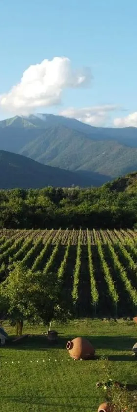 Chubini Winery & Cabins，位于克瓦雷利的酒店