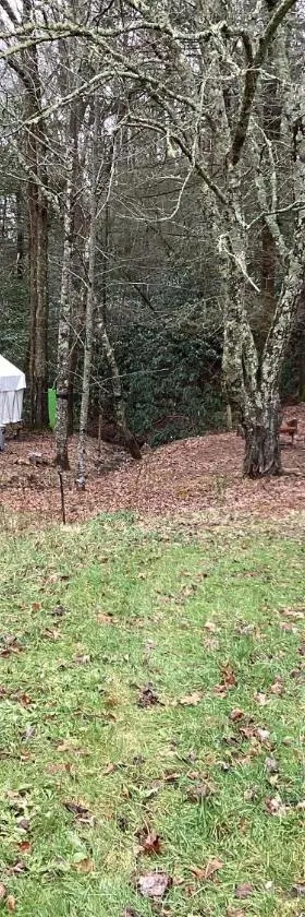 GLAMPING Off Grid Tent ULTIMATE IN COMFORT，位于Turtletown的酒店