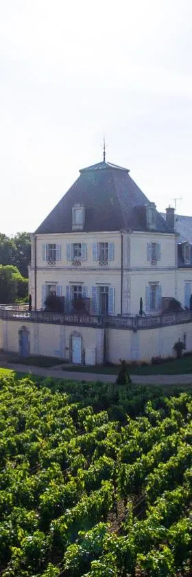 Château & Spa de la Cueillette，位于莫索特的酒店