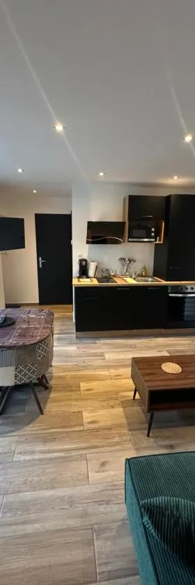 appartement moderne et confort，位于塞纳河畔沙提永的酒店