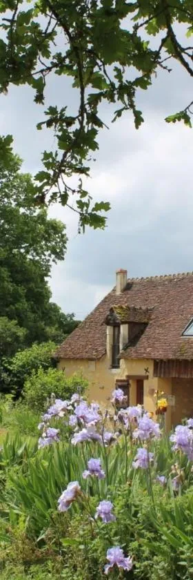 Gîtes à l'ombre des chênes，位于Châteauvieux的酒店