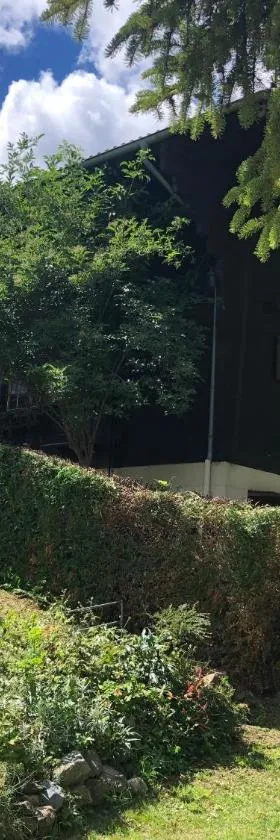 Chalet Mex 15，位于圣莫里斯的酒店