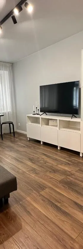 Cozy Apartment Kazlų Rūda，位于Kazlų Rūda的酒店