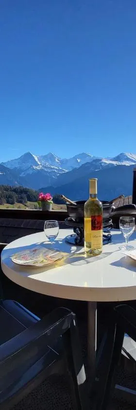 Chalet Lilo 2 Zimmer top mountain view，位于贝阿滕贝格的酒店