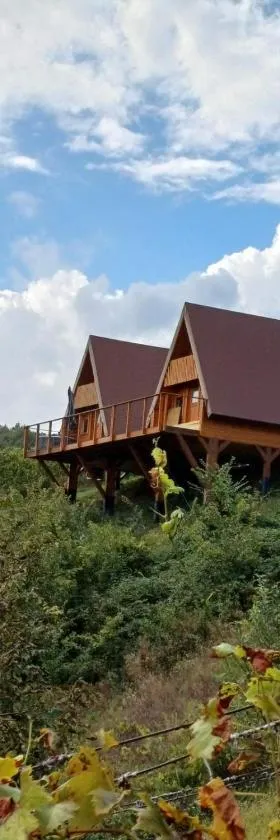 Glamping Čelig，位于Donja Višnjica的酒店