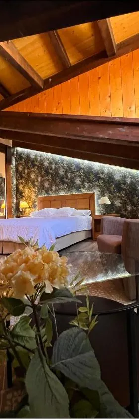 Hotel Rural Restaurante Las Baronas，位于Santa Cruz de la Salceda的酒店