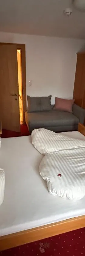 Hotel Andrea，位于察姆斯的酒店