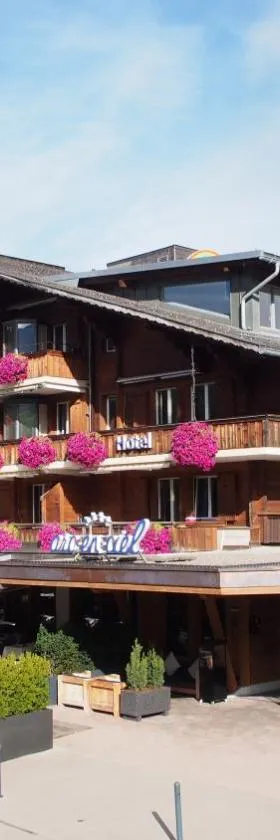 Hotel Arc-en-ciel Gstaad，位于格施塔德的酒店