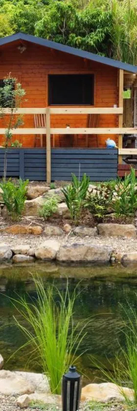 Tweed Hinterland Eco Cabin，位于Byangum的酒店