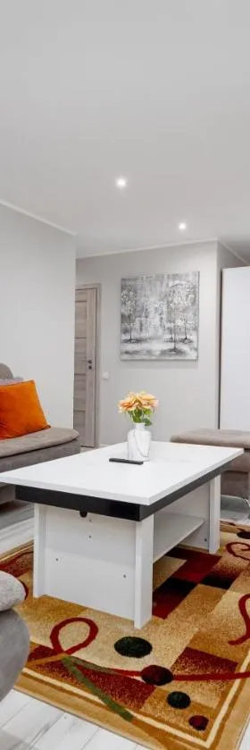 Stylish Apartment For up to 4 Guests With WiFi, Free Parking，位于Vilkaviškis的酒店