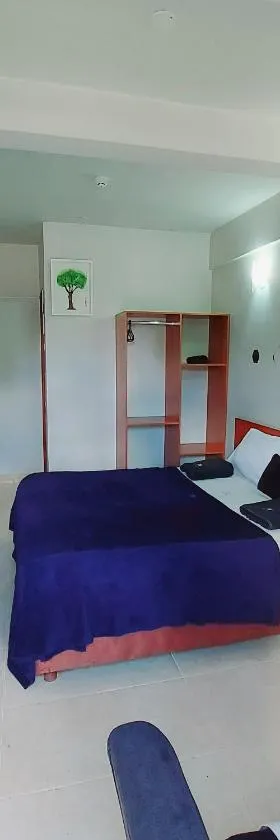 Madame Lynch Hotel Asuncion，位于亚松森的酒店