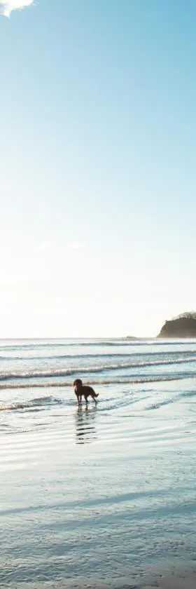 Playa Hermosa Eco Resort，位于南圣胡安的酒店