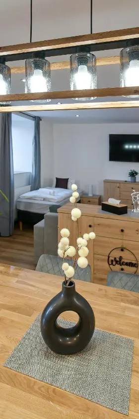 Apartmenty u Šípků OSTRAVA，位于Vřesina的酒店