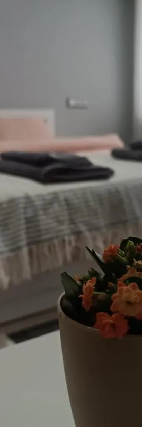 City Apartment，位于戈采代尔切夫的酒店